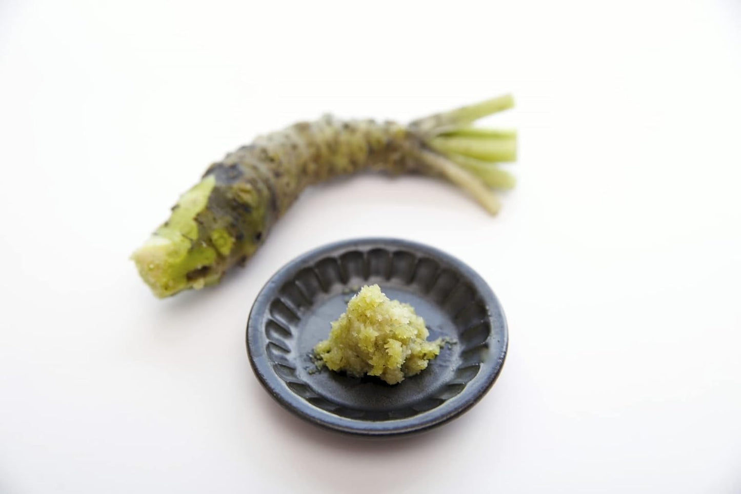 Japanese Classic Grater for Wasabi and Ginger, L Size, Made in Japan
