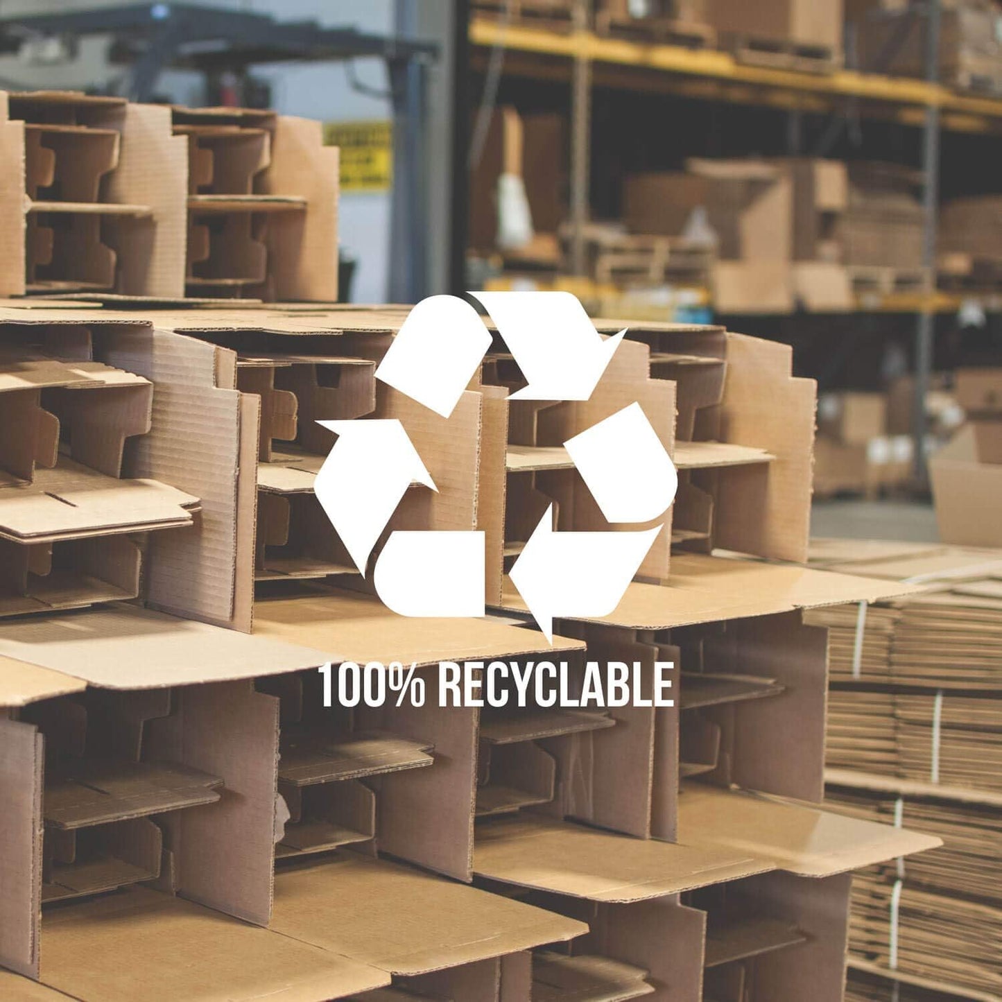 Rolf Glass Palm Tree Champagne Flute | 8oz Toasting Flute Glasses | Lead-Free and Diamond-Wheel Engraved Crystal Glass | Tropical Island-Inspired Design | Made in America | Set of 4